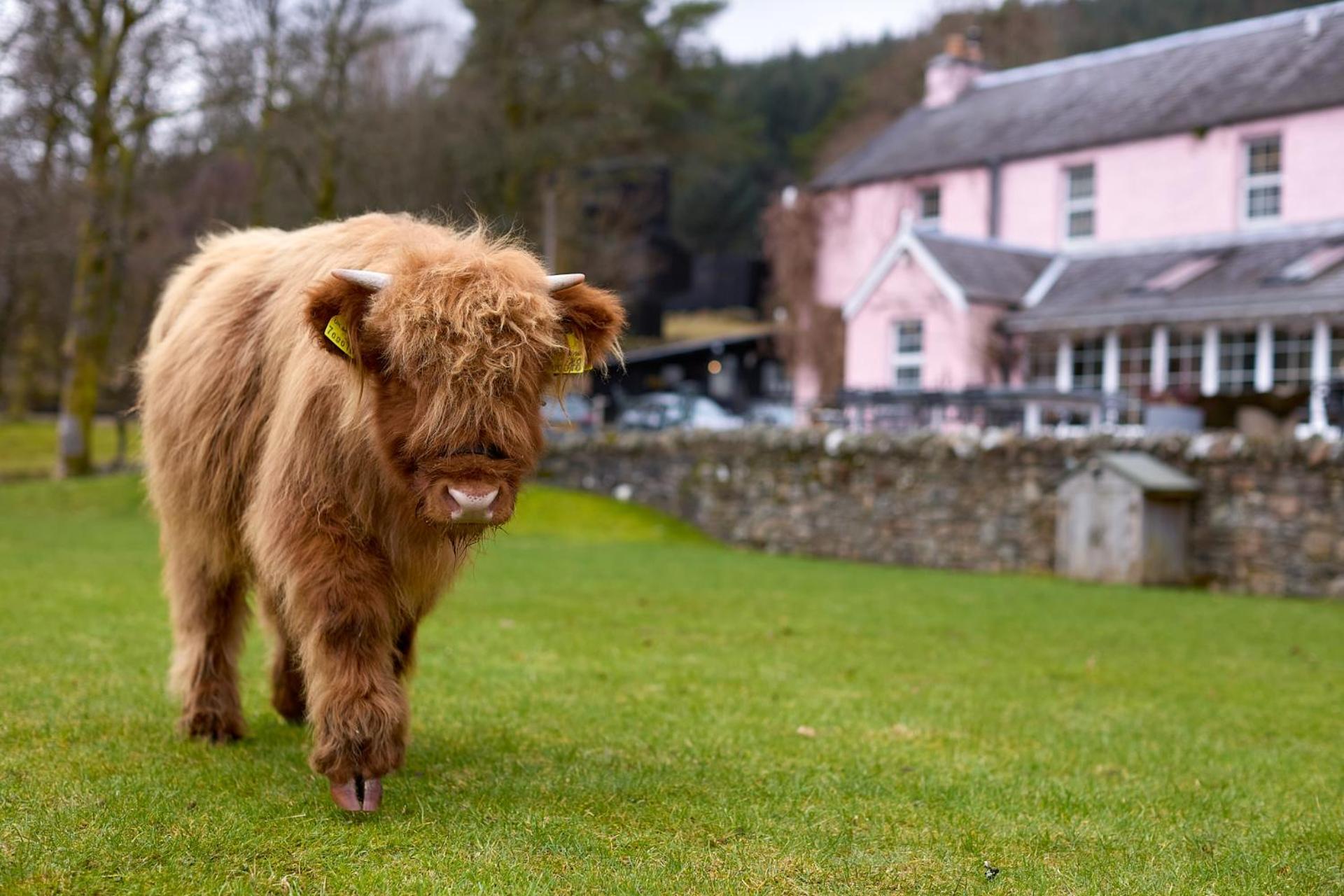 Monachyle Mhor 4* Lochearnhead